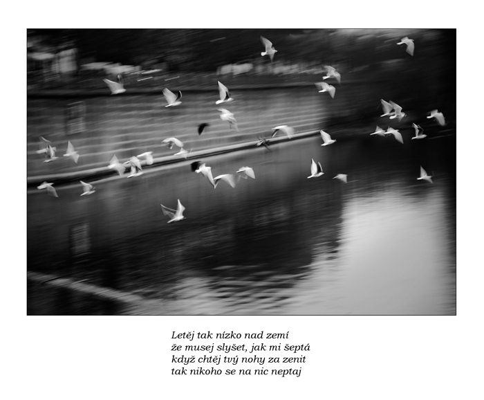 ..letí tak nízko nad zemí