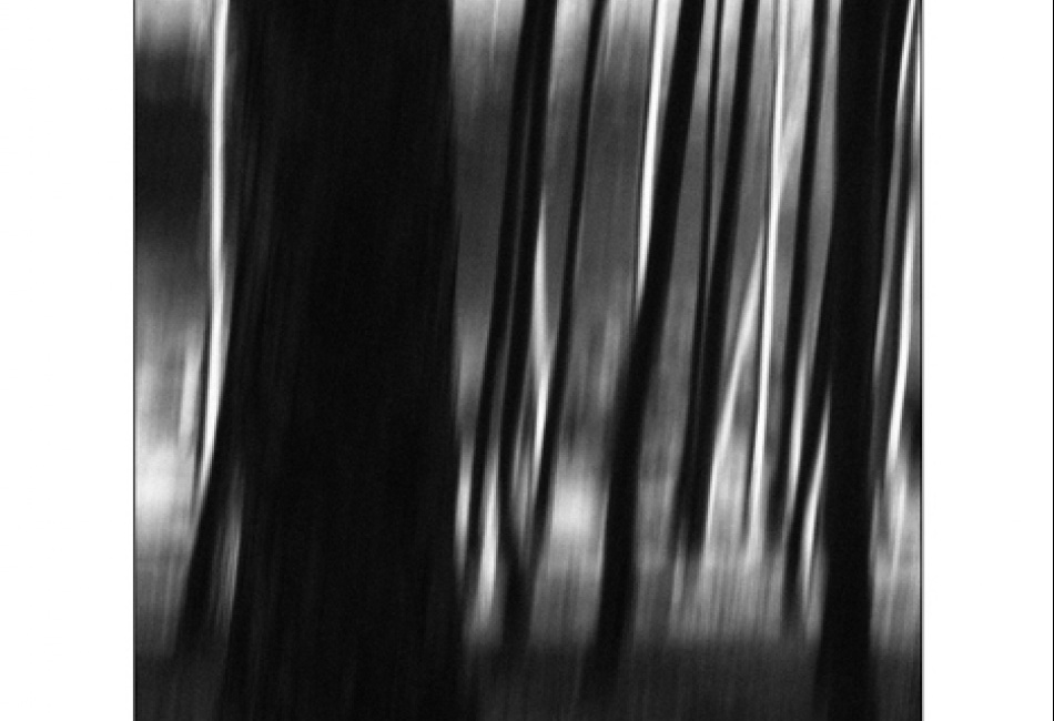 ...dívám se a vidím