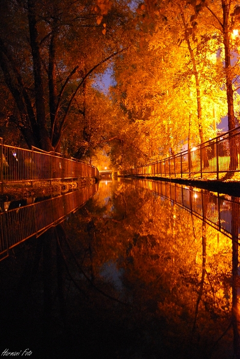 AUTUMN NIGHT IN PARK BY PEREC