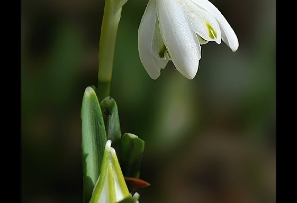 Spring is finally here