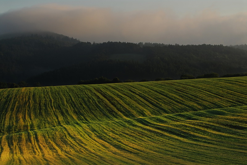 Ráno na poliach