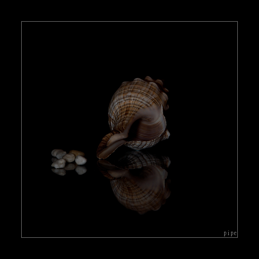 ... dary Poseidóna ...