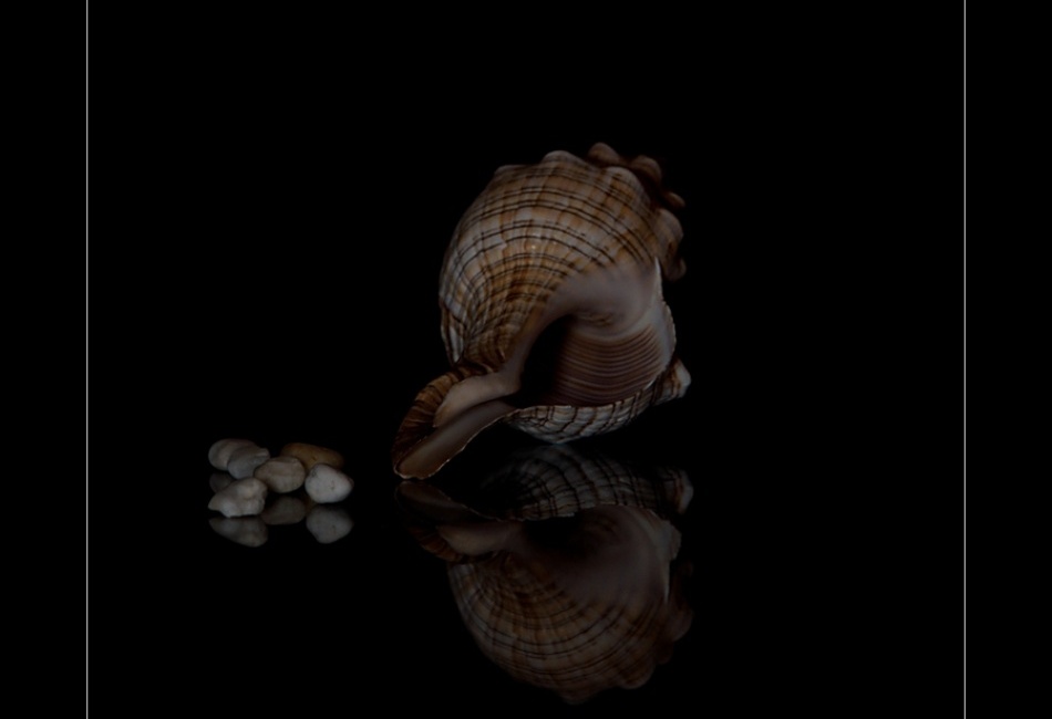 ... dary Poseidóna ...