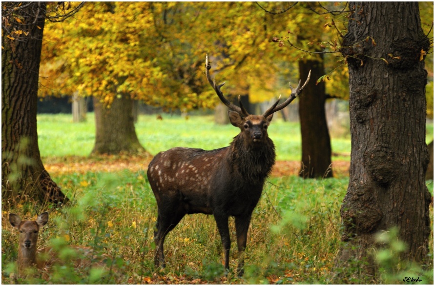 rodinu mám pod kontrolou....
