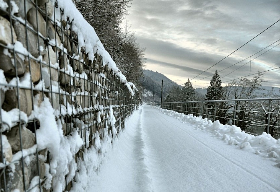 Cesta do nikam........