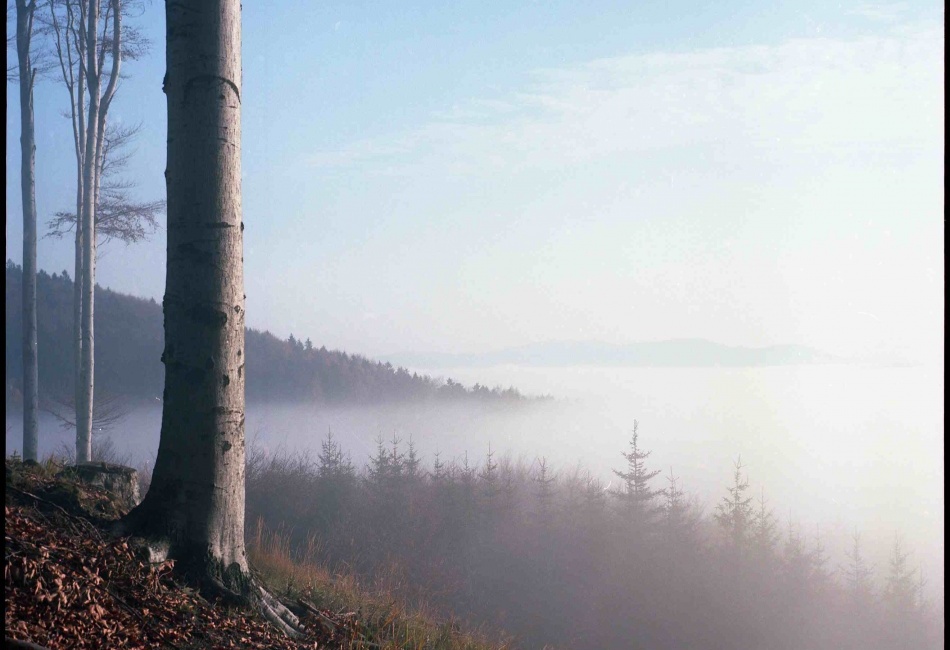 PODZIMNÍ INVERZE , YASHICA D