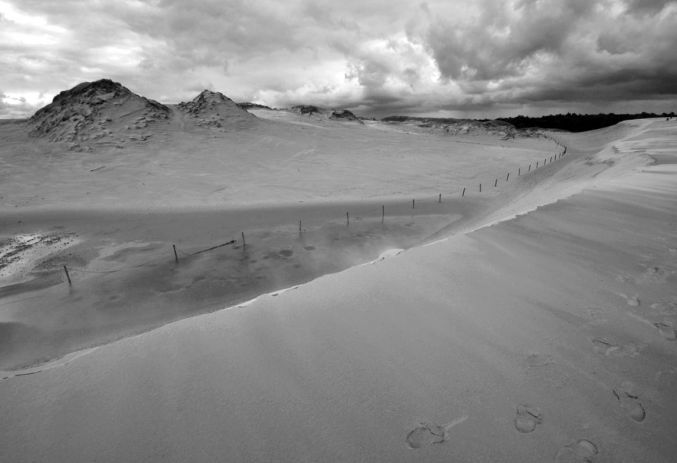 Písečné duny u Leby- Polsko