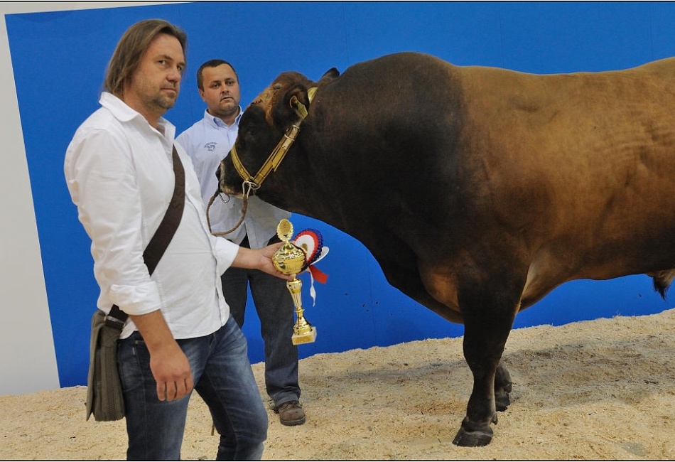 Výstava hospodářských zvířat