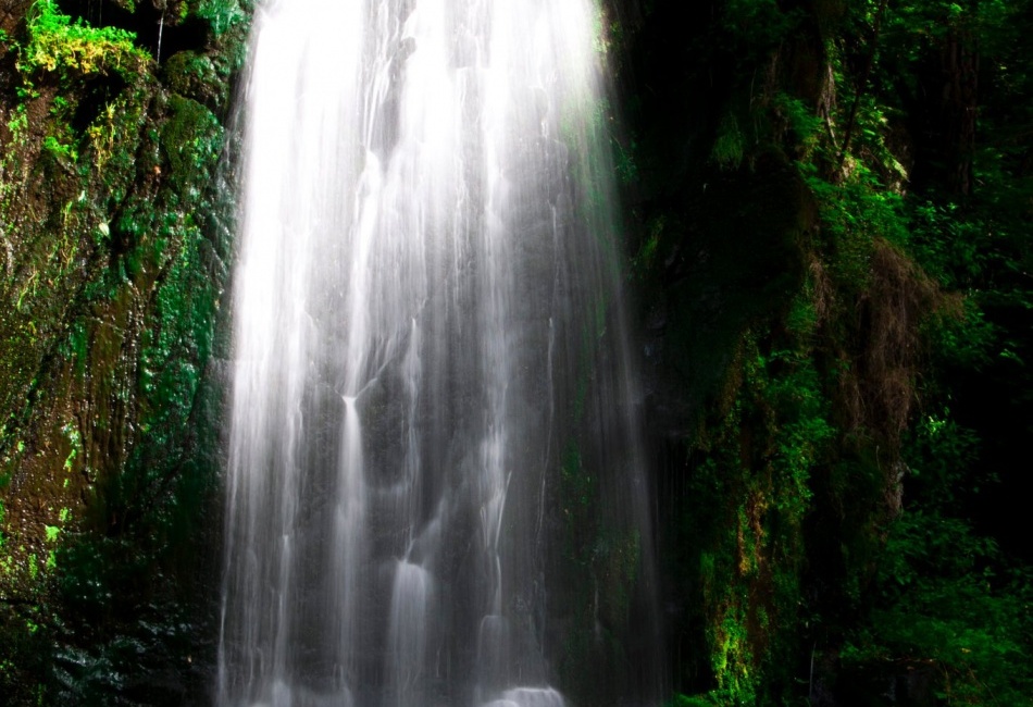 Terčino údolí (Nové Hrady)