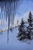 Kvaple a Vysoké Tatry