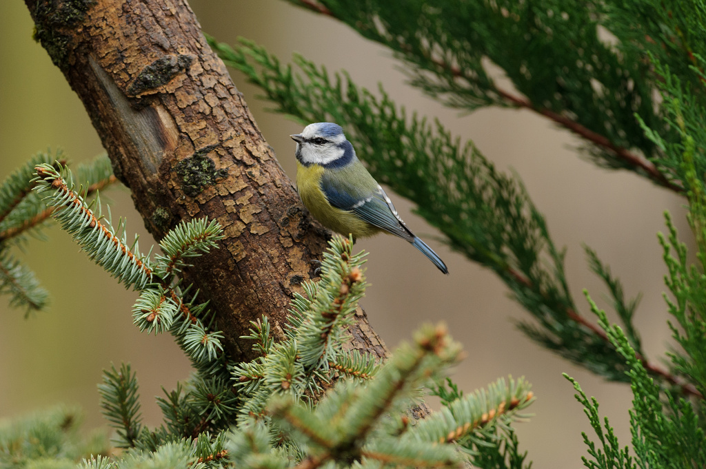 Je totálně hnusně, zima a vlhko, tak trošku pro pohlazení duše ...