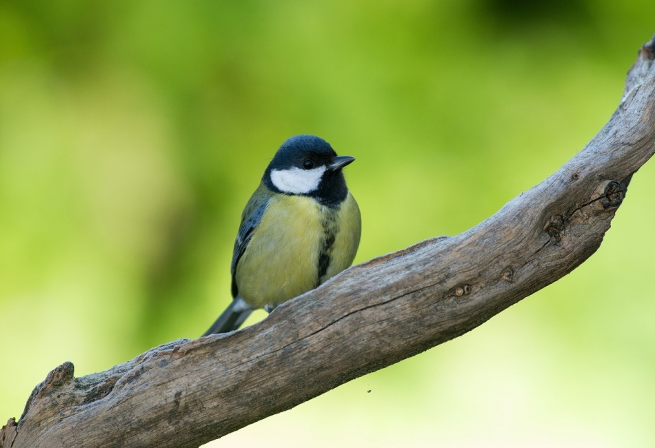 3 blesky a Pixel King Pro aneb ze tmy slunný den :)