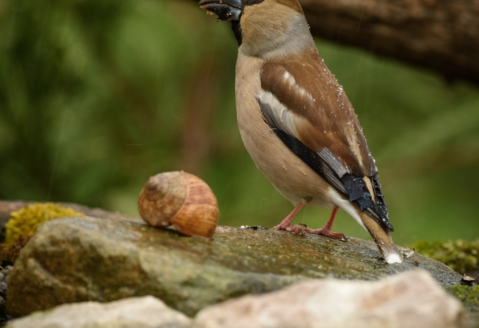 paní Dlasková v přírodní koupelně