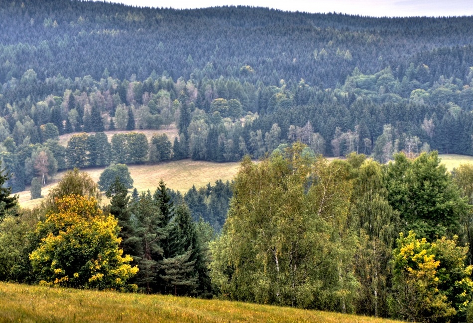 Podzim v Krušných Horách - 24.9.2012