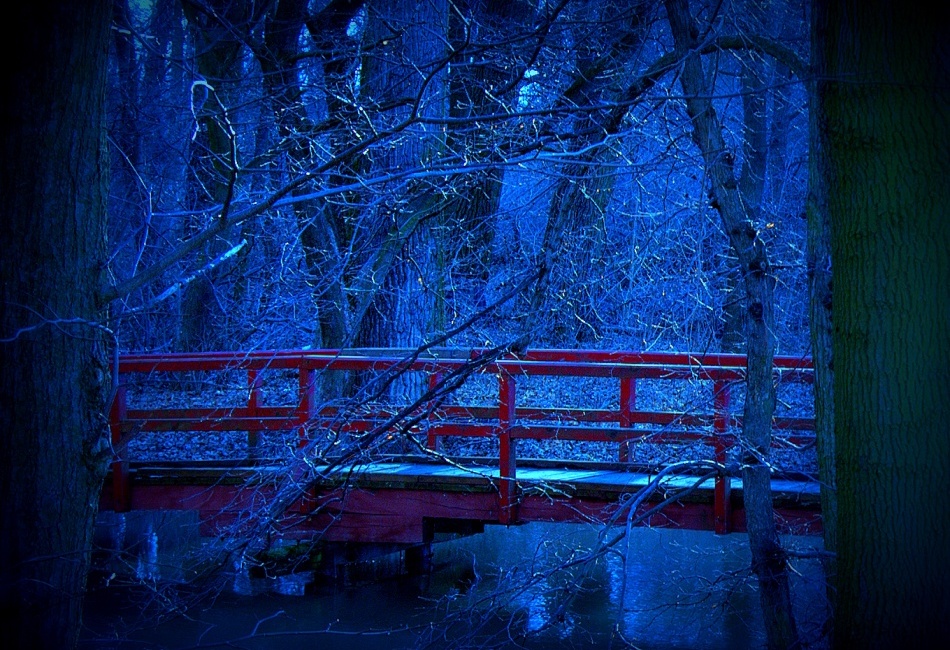 Mikulčice Vykopávky