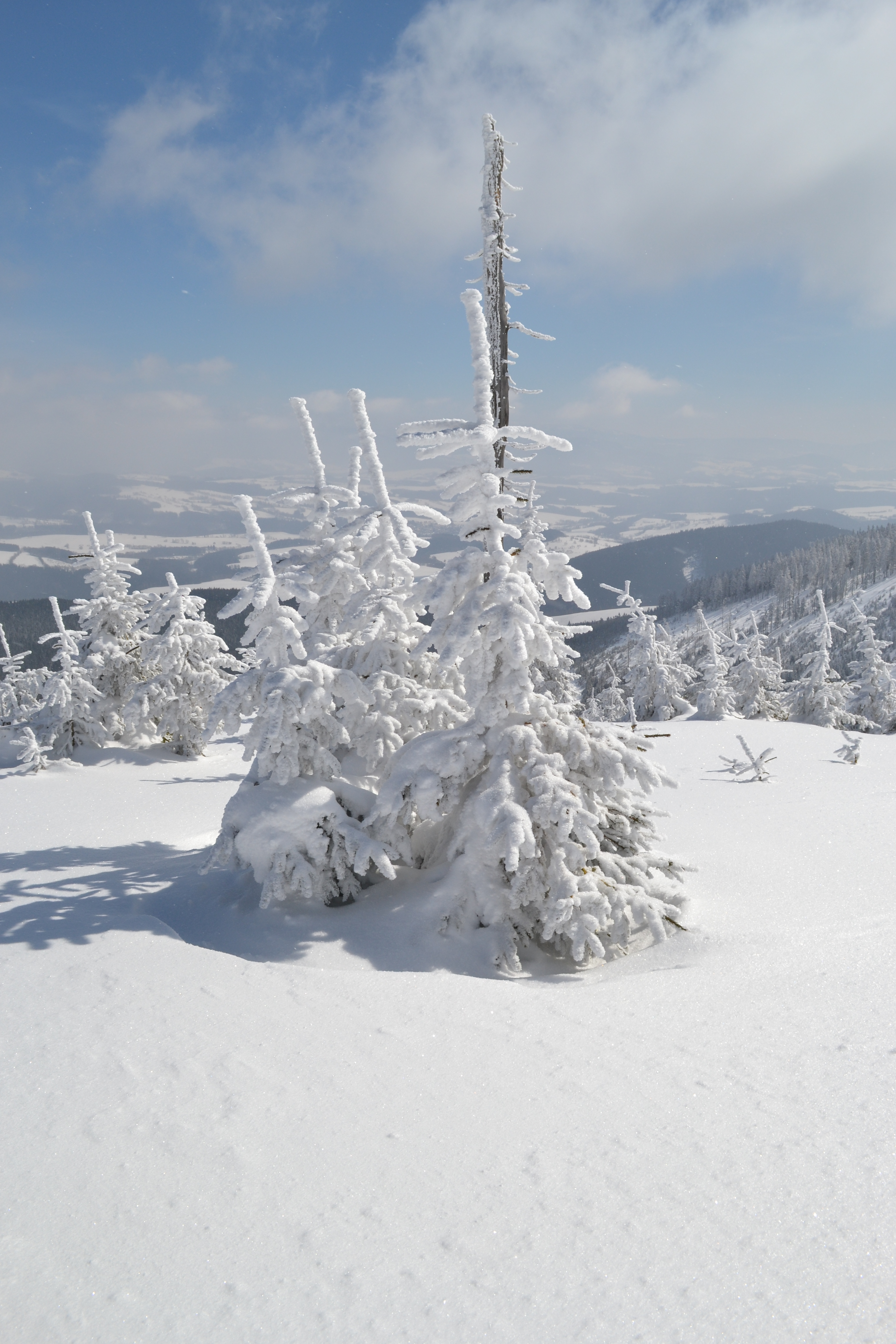 Kralický Sněžník - Tři bratři