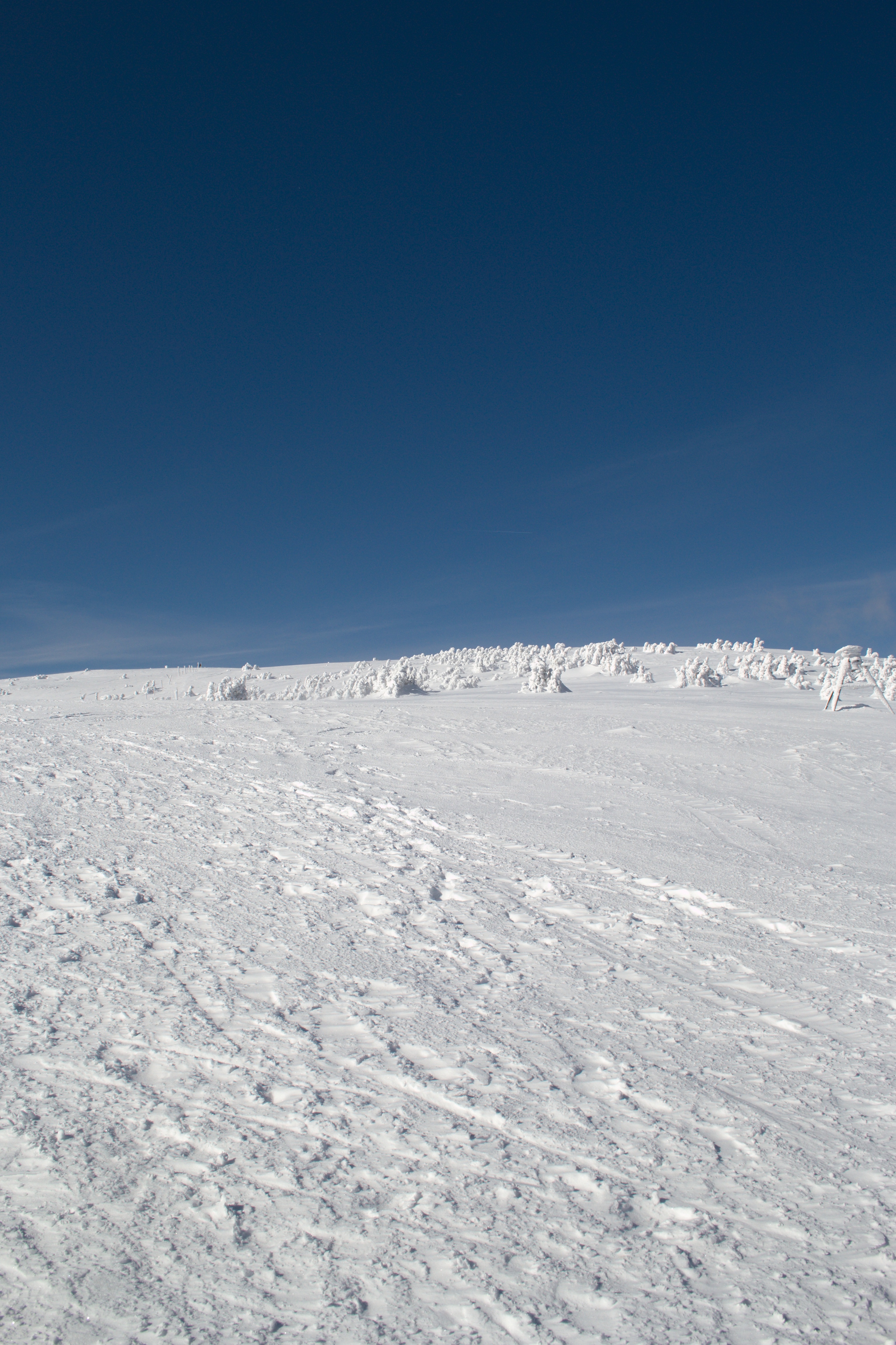 Kralický Sněžník -  Vrchol