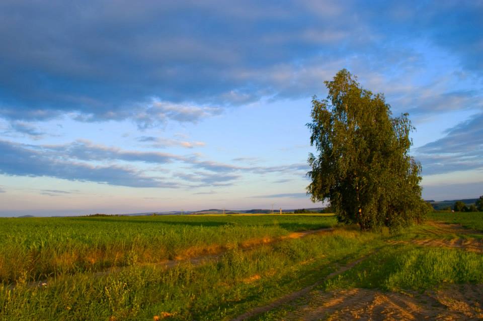 před západem slunce