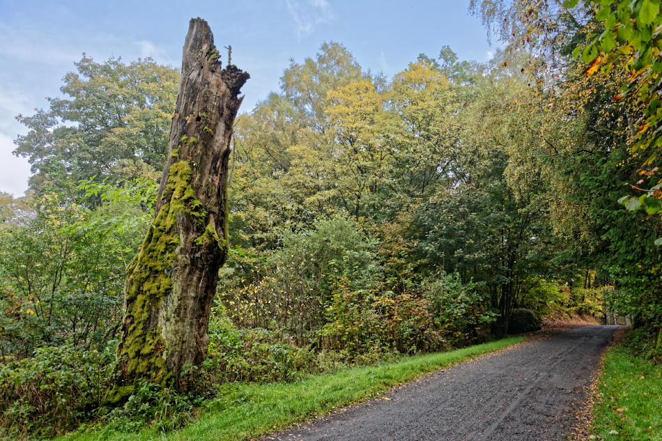 Cestou na Valdštejn