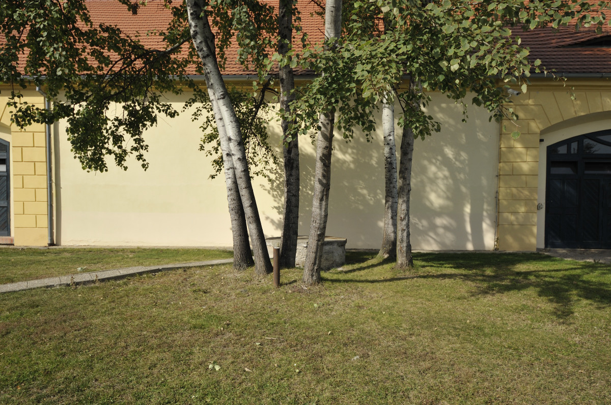 16 mm, vše sigma 8-16