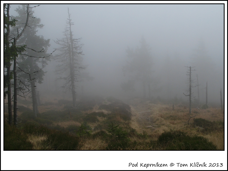 Pod Keprníkem