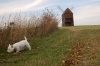 Hugo skúma veterný mlyn
