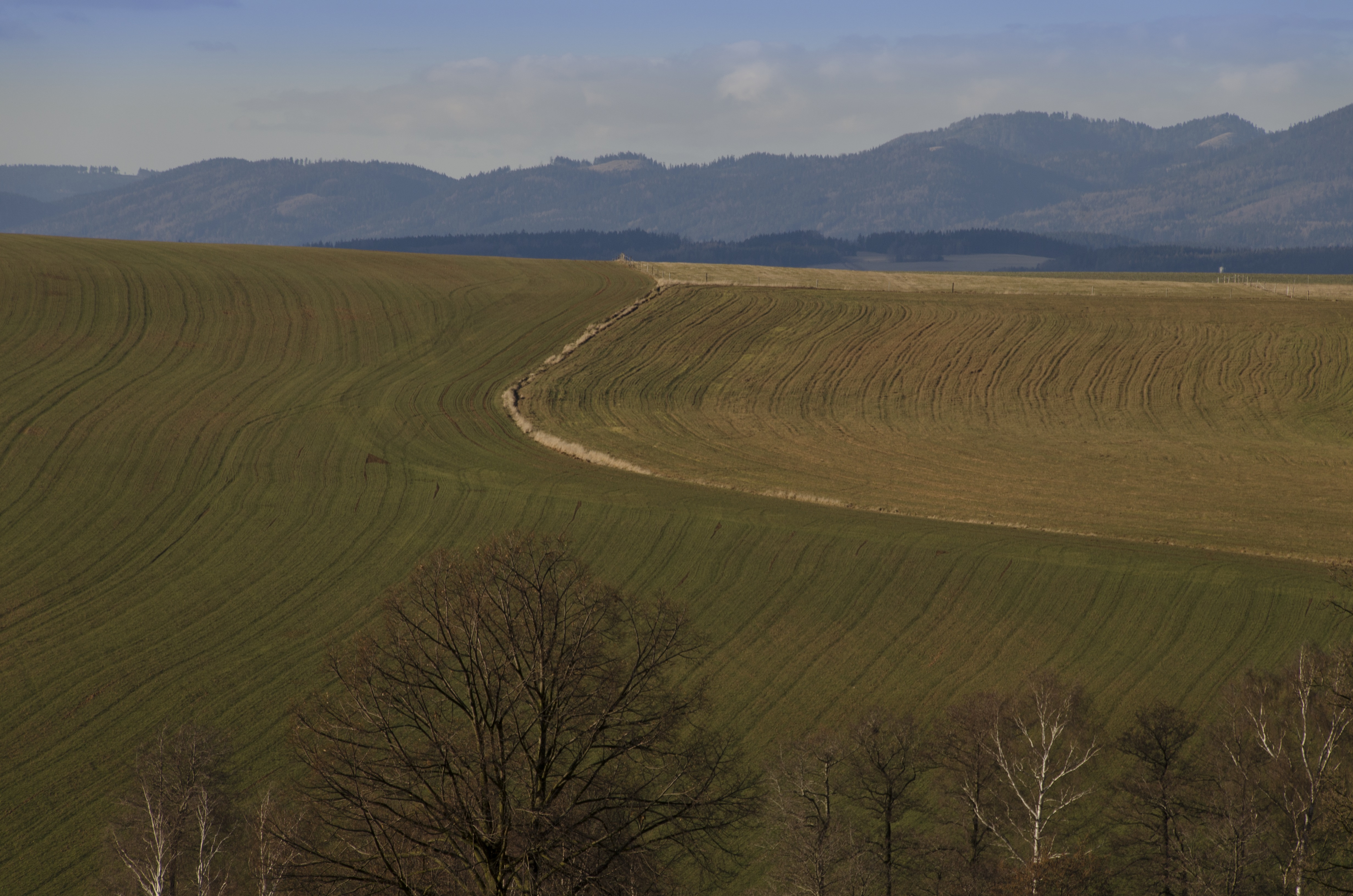 Výhled v Božanově