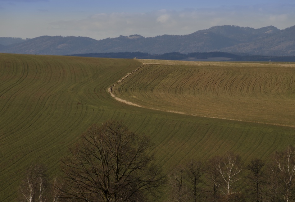Výhled v Božanově