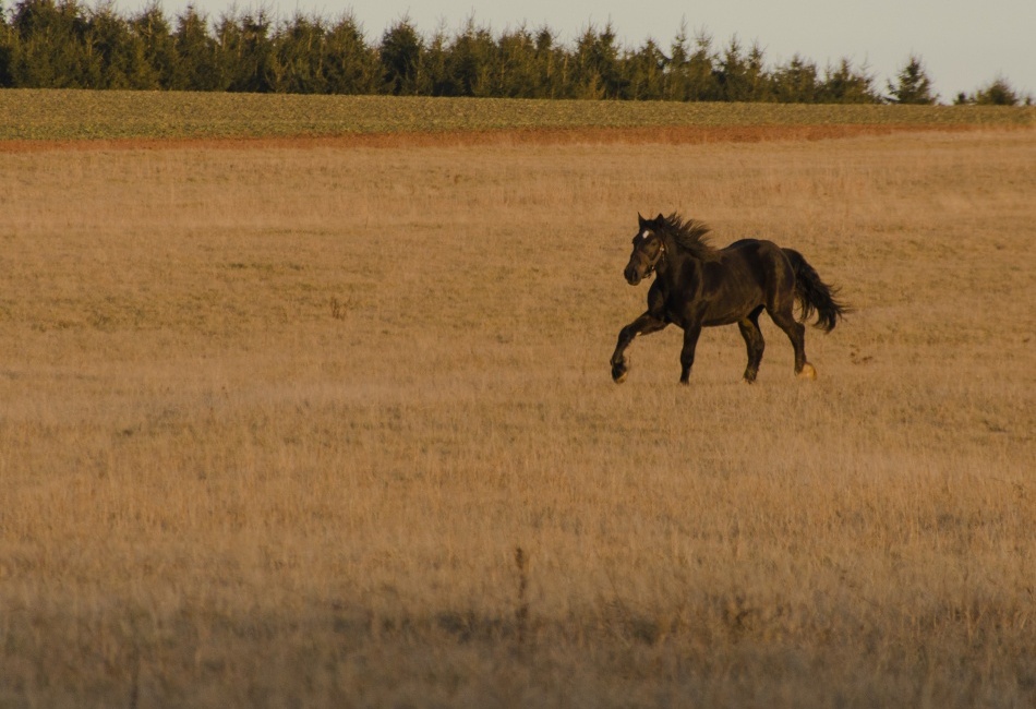 ...tomu jsem neodolala...