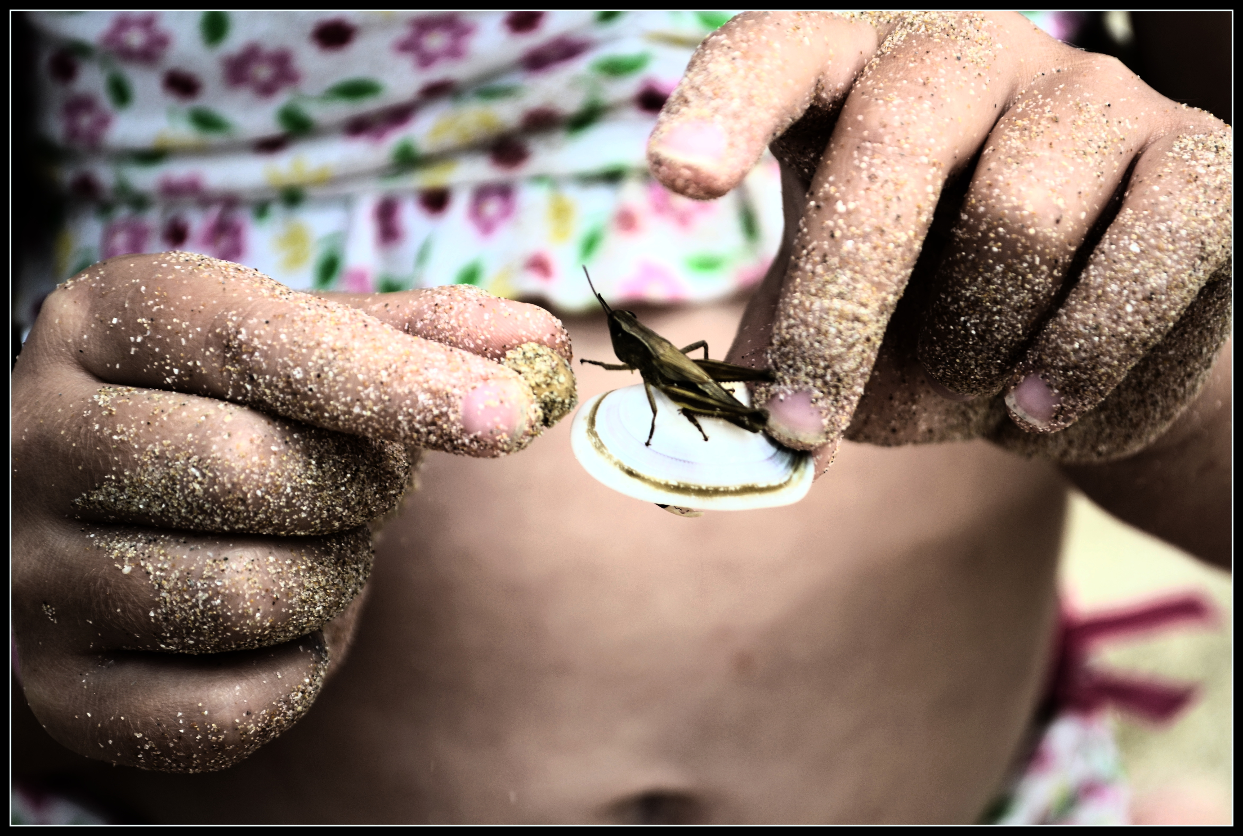 Křehké přátelství