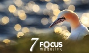 7. vydání FOCUSmagazine sedm rad pro focení v přírodě